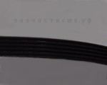 Y312959 Dryer Tumbler And Motor Belt / ремень